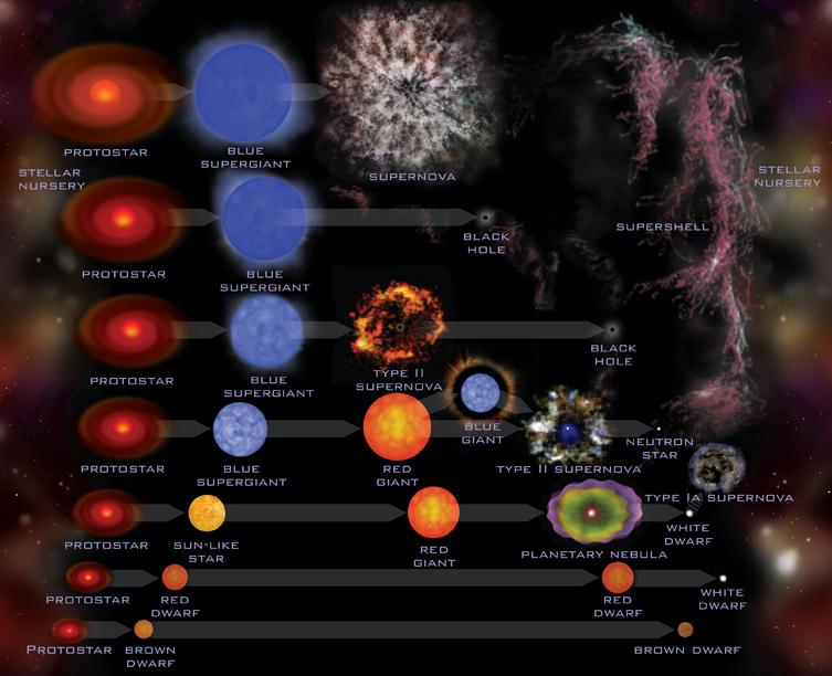 El Universo Tipos De Estrellas