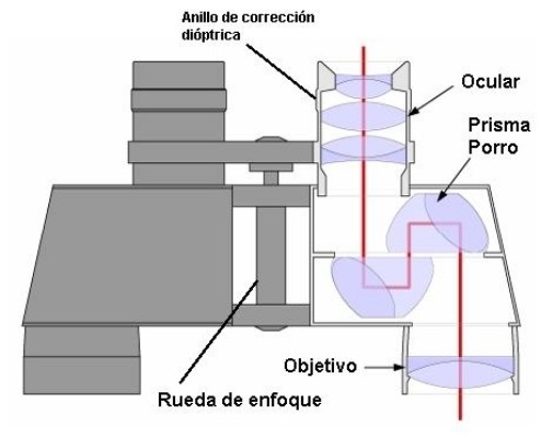 prismaticos 42.jpg