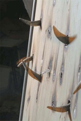 mur.jpg