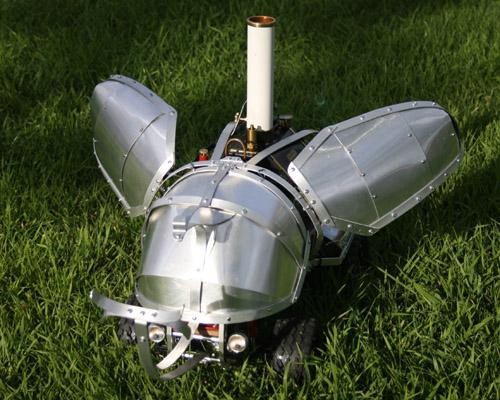steam beetle.jpg