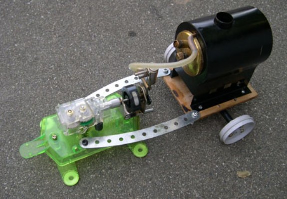 steam turtle.jpg