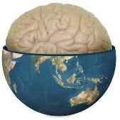 globalbrain.jpg