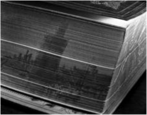 Albelardo Morell - Fore-Edge Book 2001.jpg