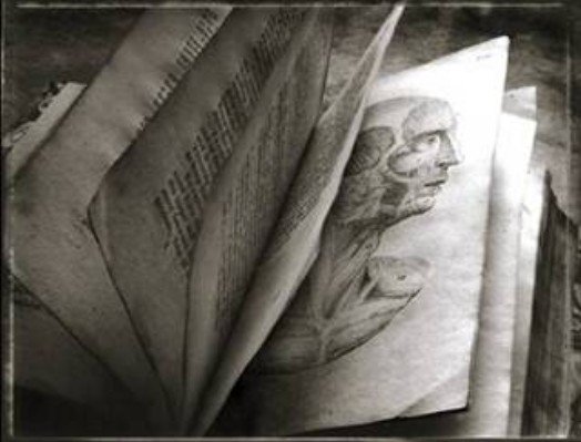 The Secret Book 9 - Sean Kernan sobre textos de Borges.jpg