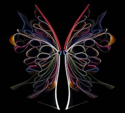 Book Butterfly 2 - Cara Barer.jpg