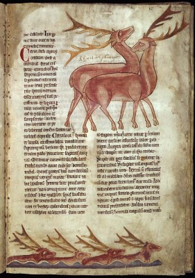 Bestiario - Inglaterra 1220.jpg