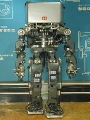 P1.jpg